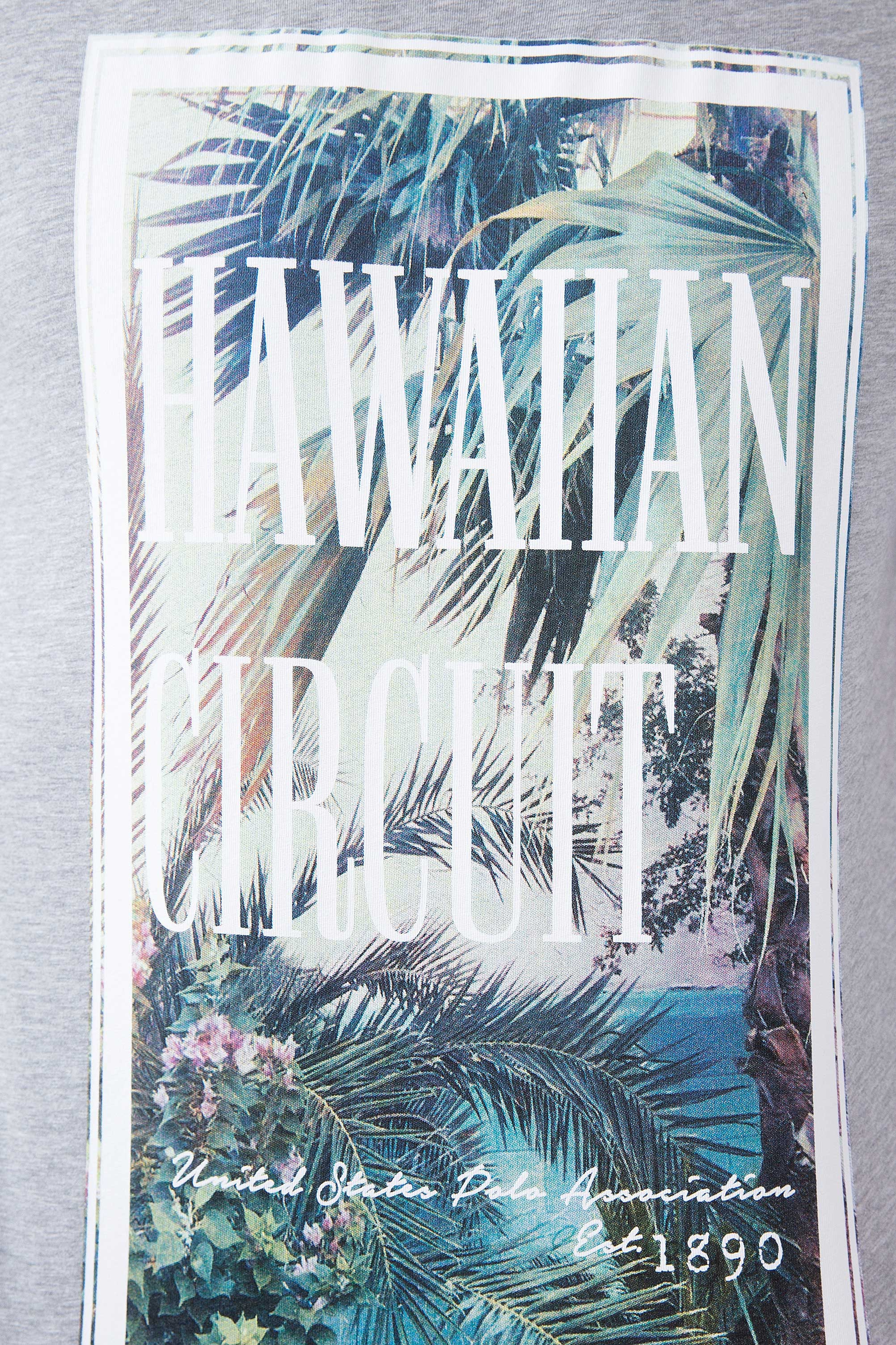 Erkek Gri Melanj Bisiklet Yaka T-Shirt - Image 4