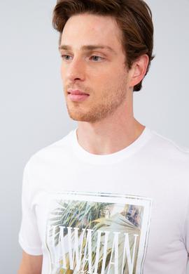 Erkek Beyaz Bisiklet Yaka T-Shirt - 50206214018