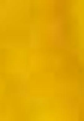 Çocuk Sarı Bisiklet Yaka Tişört - 50206221001