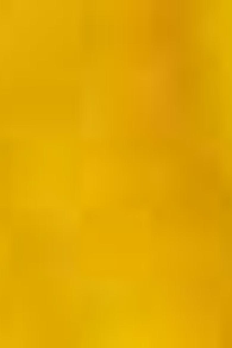 Çocuk Sarı Bisiklet Yaka Tişört - 50206221001