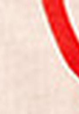 Çocuk Beyaz Bisiklet Yaka Tişört - 50206222001