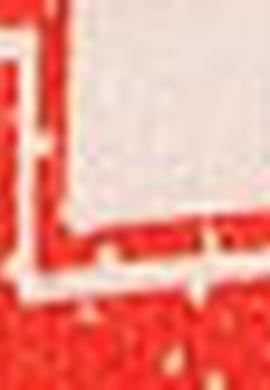 Çocuk Beyaz Bisiklet Yaka Tişört - 50206229017