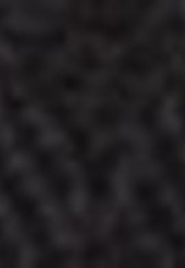 Erkek Siyah Mont - 50206743011