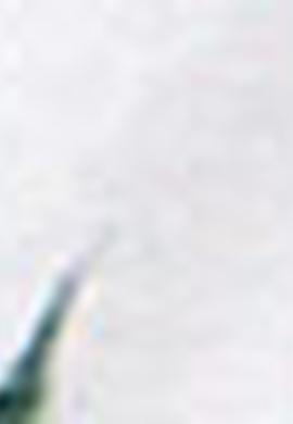 Erkek Yeşil Gömlek Uzunkol - 50207103021