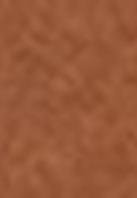 Kadın Taba Bot - 50211770013