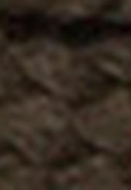 Kadın Yeşil Ayakkabı - 50211851009