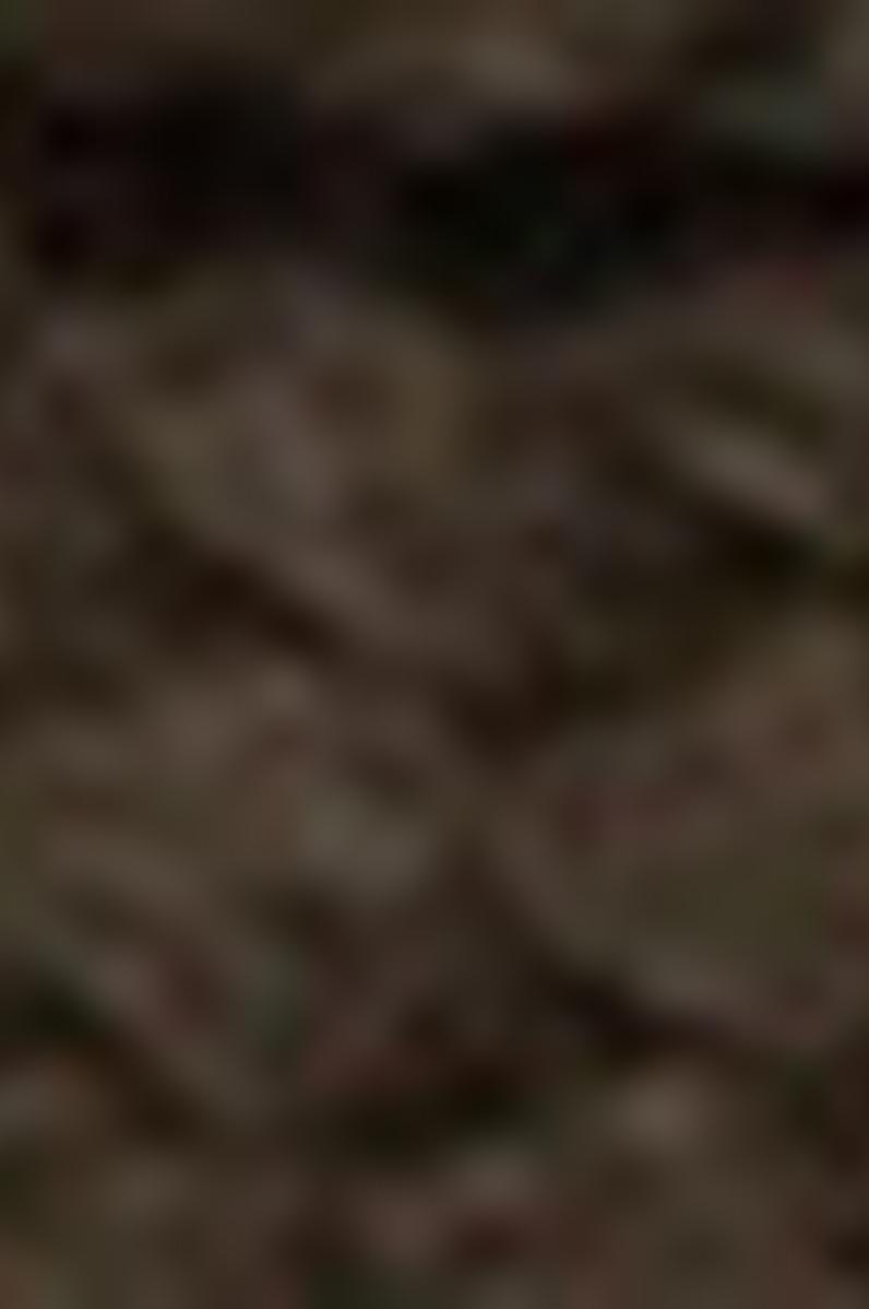 Kadın Yeşil Ayakkabı