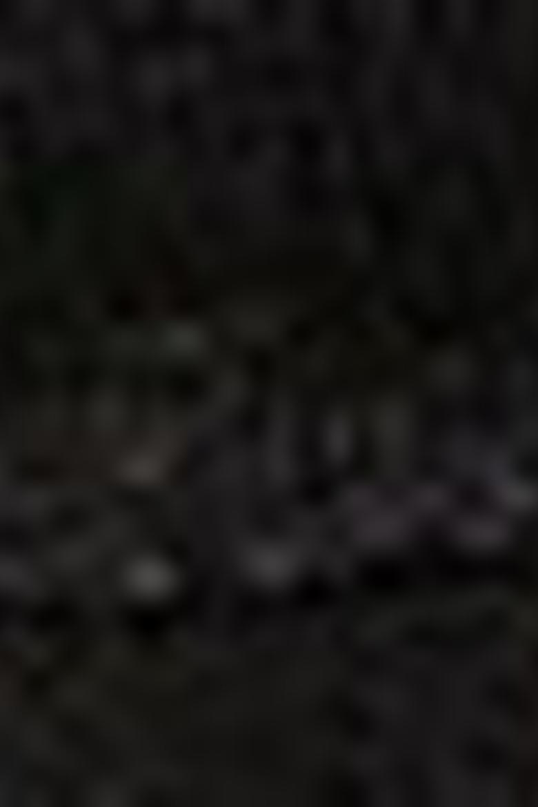 Erkek Siyah Ayakkabı - 50211875017