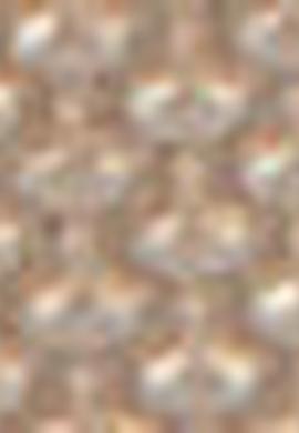 Kadın Sarı Cüzdan - 50211972001