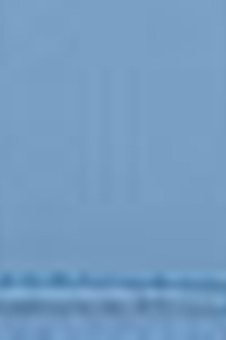 Kadın Mavi Cüzdan - 50211972006