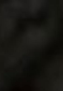 Kadın Siyah Kemer - 50212135013