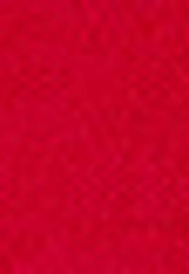 Erkek Kırmızı Tişört - 50213573008