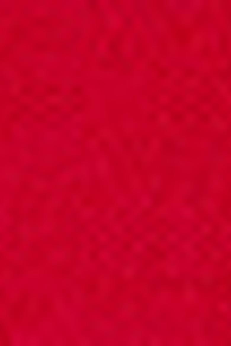 Erkek Kırmızı Tişört - 50213573008