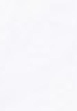 Erkek Lacivert Polo Yaka T-Shirt - 50213578020