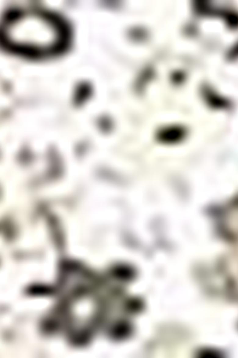 Kadın Yeşil Gömlek Uzunkol - 50213818004