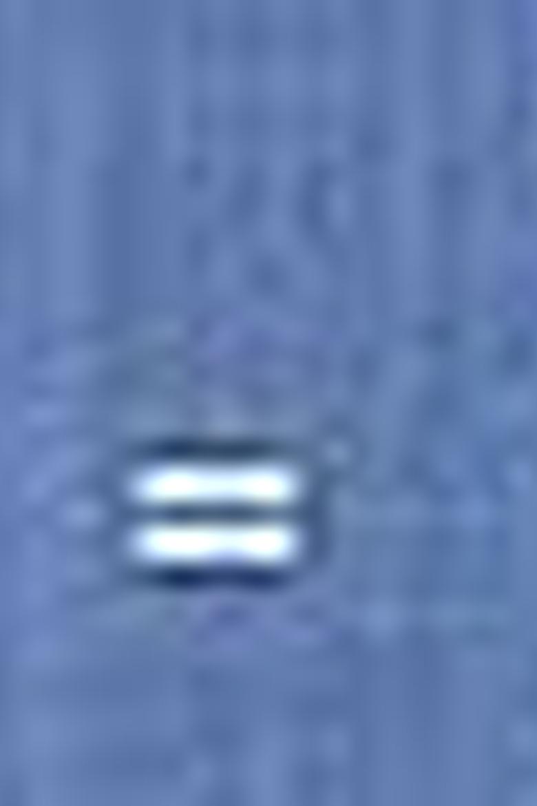 Erkek Mavi Gömlek - 50213899017