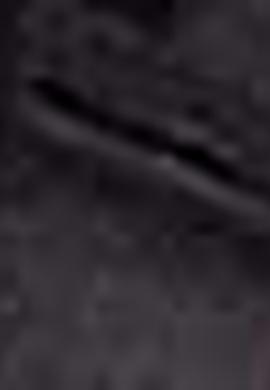 Erkek Siyah Spor Ayakkabı - 50215209012