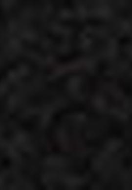 Kadın Siyah Ayakkabı - 50215235007