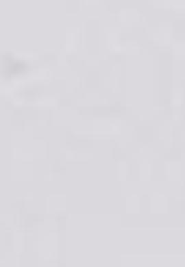 Kadın Beyaz Ayakkabı - 50215241008