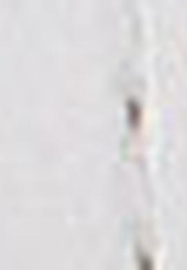 Kadın Beyaz Ayakkabı - 50215242002