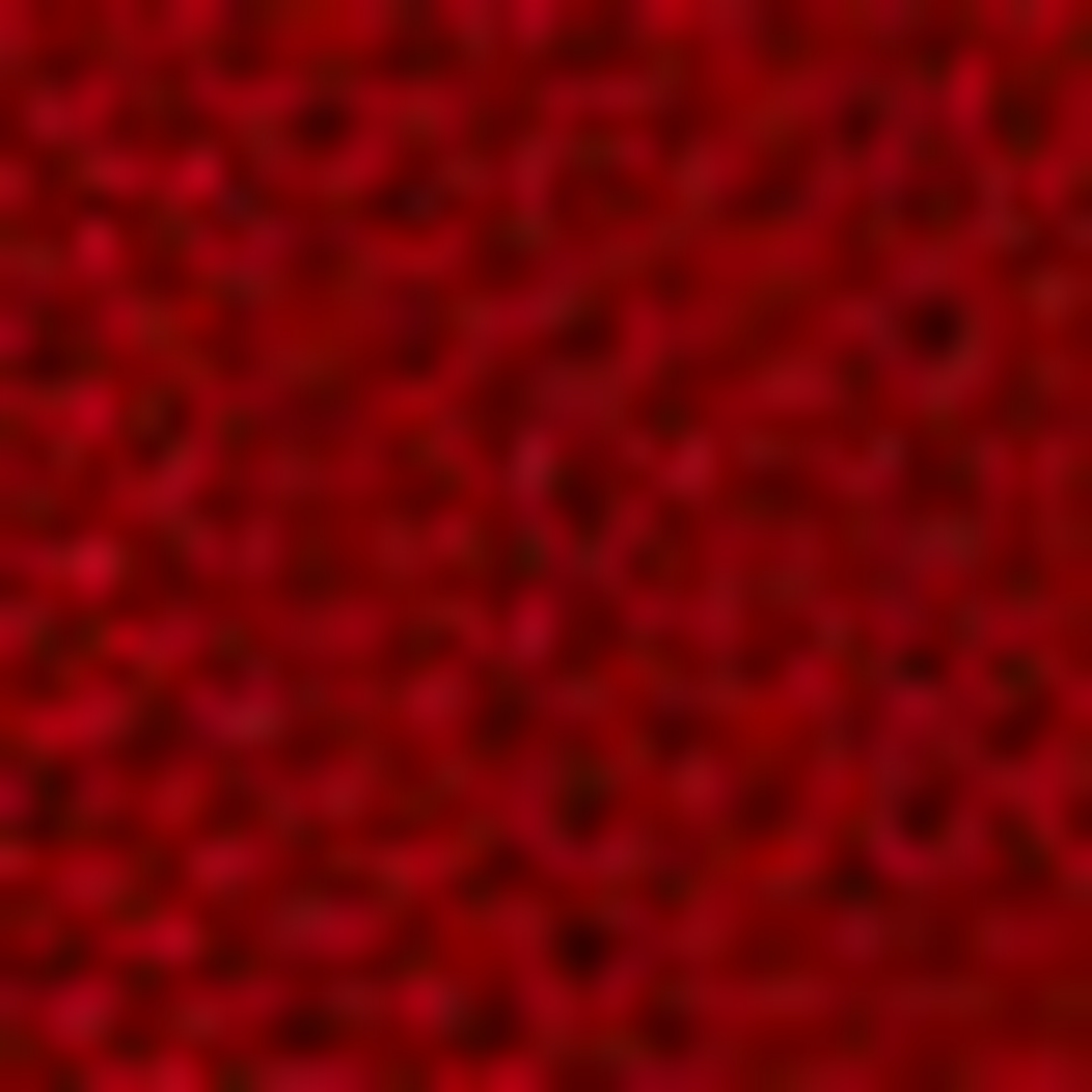 Çocuk Bordo Sweatshirt - Image 4