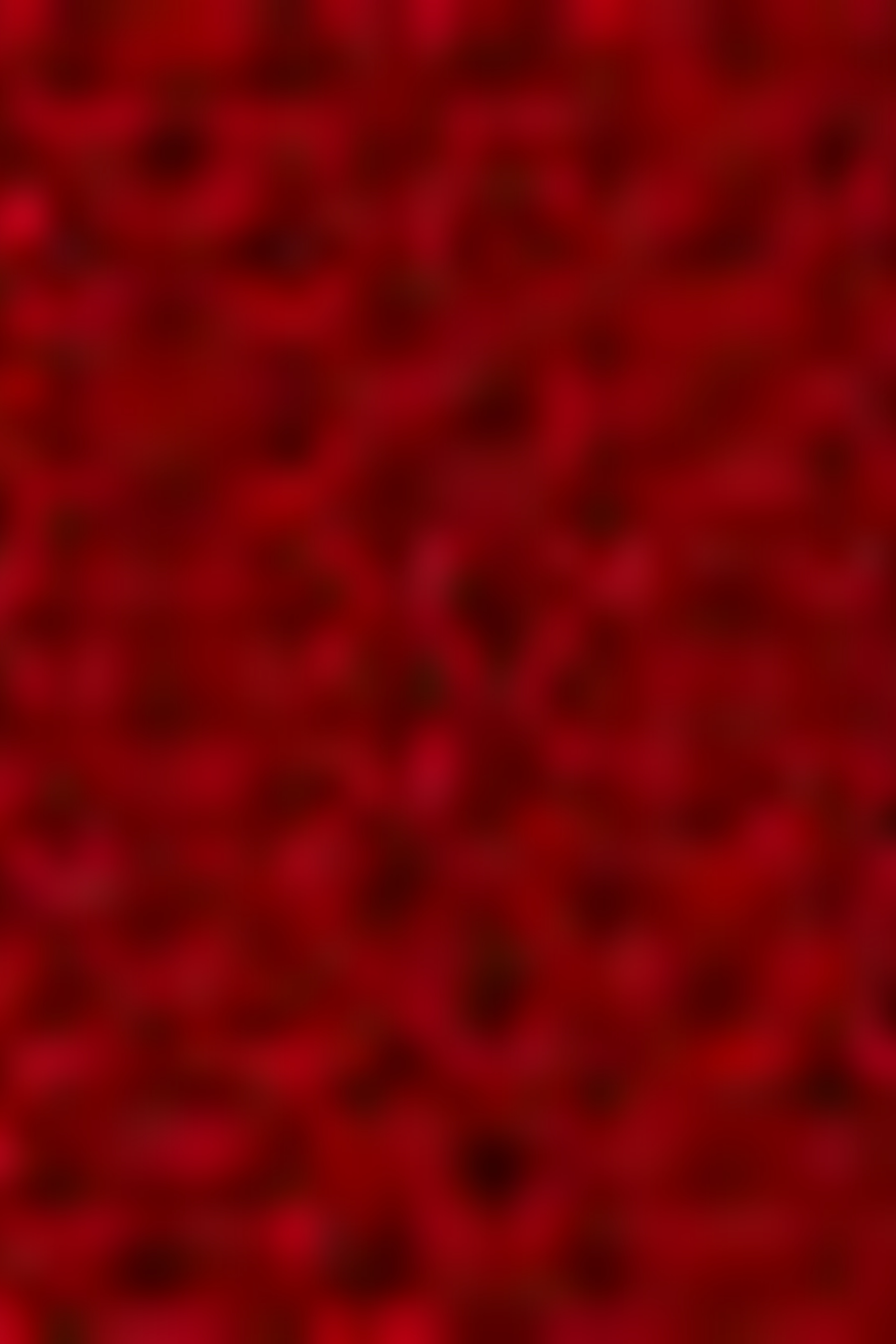 Çocuk Bordo Sweatshirt