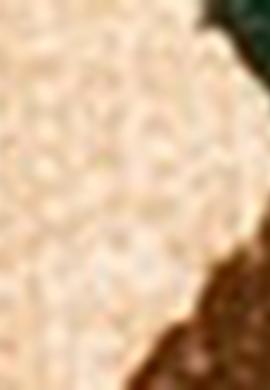 Çocuk Yeşil Sweatshirt - 50207373016