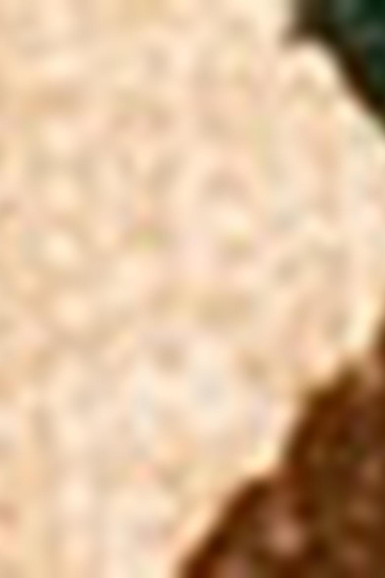 Çocuk Yeşil Sweatshirt - 50207373016