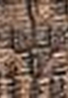 Kadın Kahverengi Çanta - 50208402002