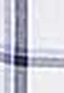 Kadın Beyaz Gömlek - 50208965003