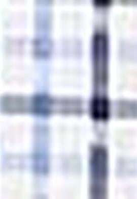 Erkek Mavi Gömlek - 50209053007