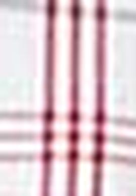 Erkek Kırmızı Gömlek - 50209059015