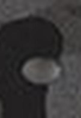 Erkek Lacivert Kemer - 50212184003