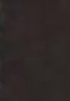 Erkek Kahverengi Kemer - 50212184010