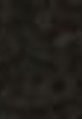 Erkek Gri Kemer - 50212197020