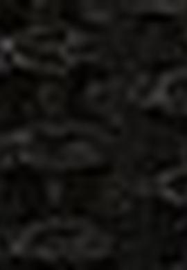 Erkek Siyah Kemer - 50212424019