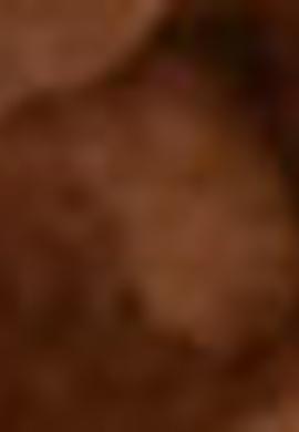 Erkek Taba Kemer - 50212424026