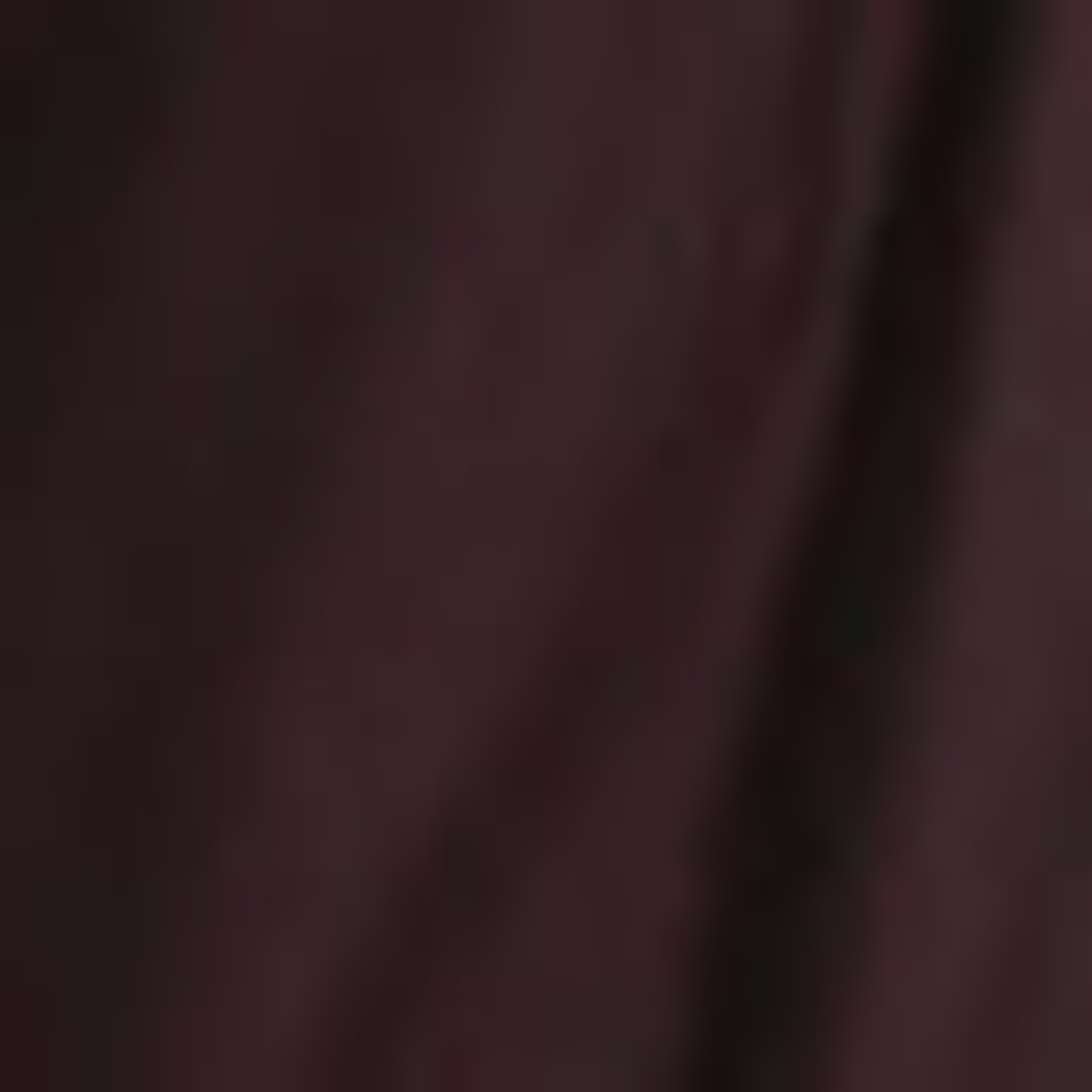 Erkek Bordo Mont - Image 7