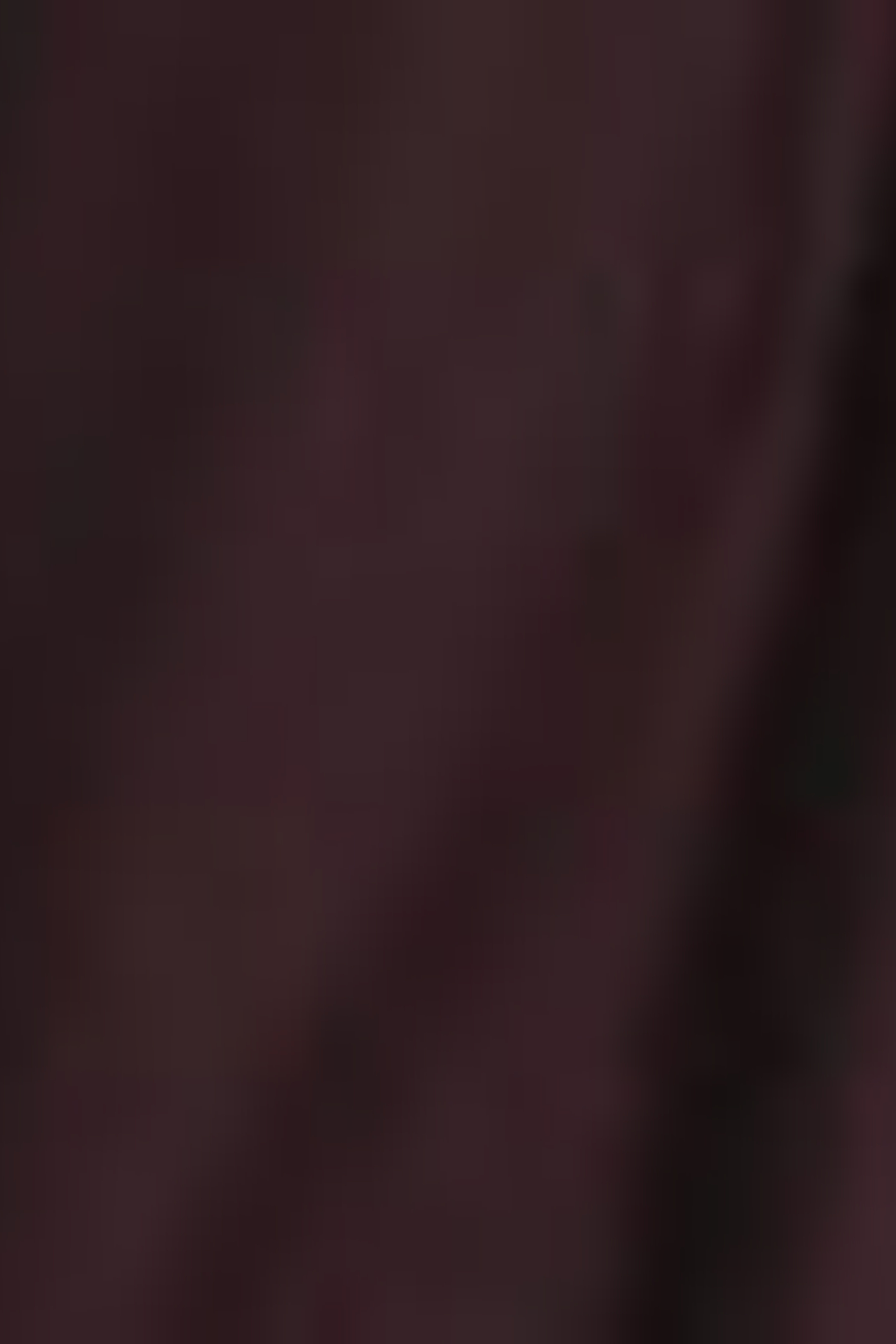 Erkek Bordo Mont