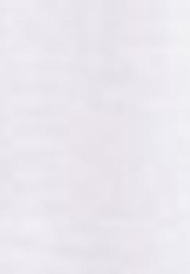 Erkek Beyaz Basic Sweatshirt - 50209199006