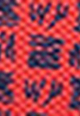 Erkek Nar Çiçeği T-Shirt - 50220883008