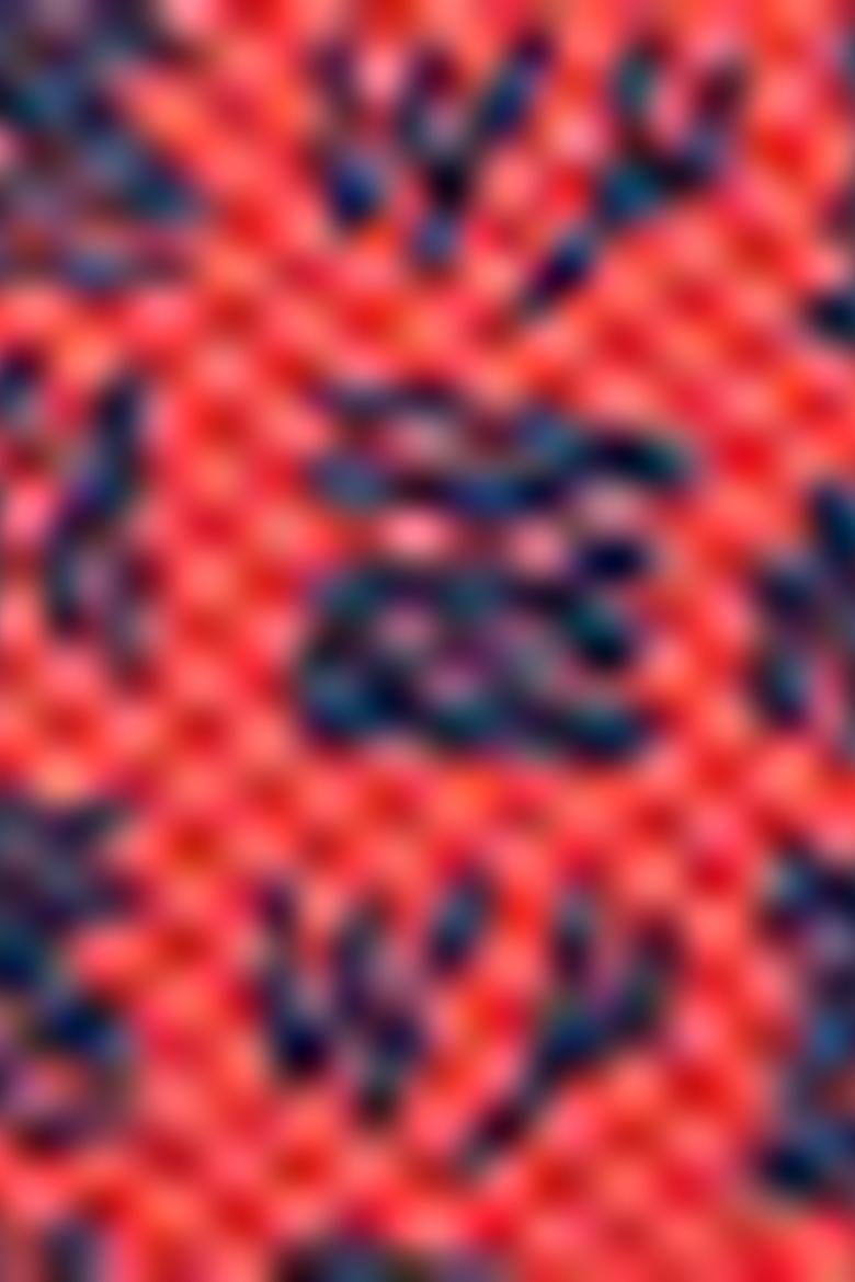 Erkek Nar Çiçeği T-Shirt - 50220883008