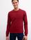 Erkek Bordo Bisiklet Yaka Sweatshirt Basic