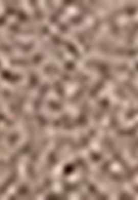 Erkek Kahverengi Bot - 50212080016