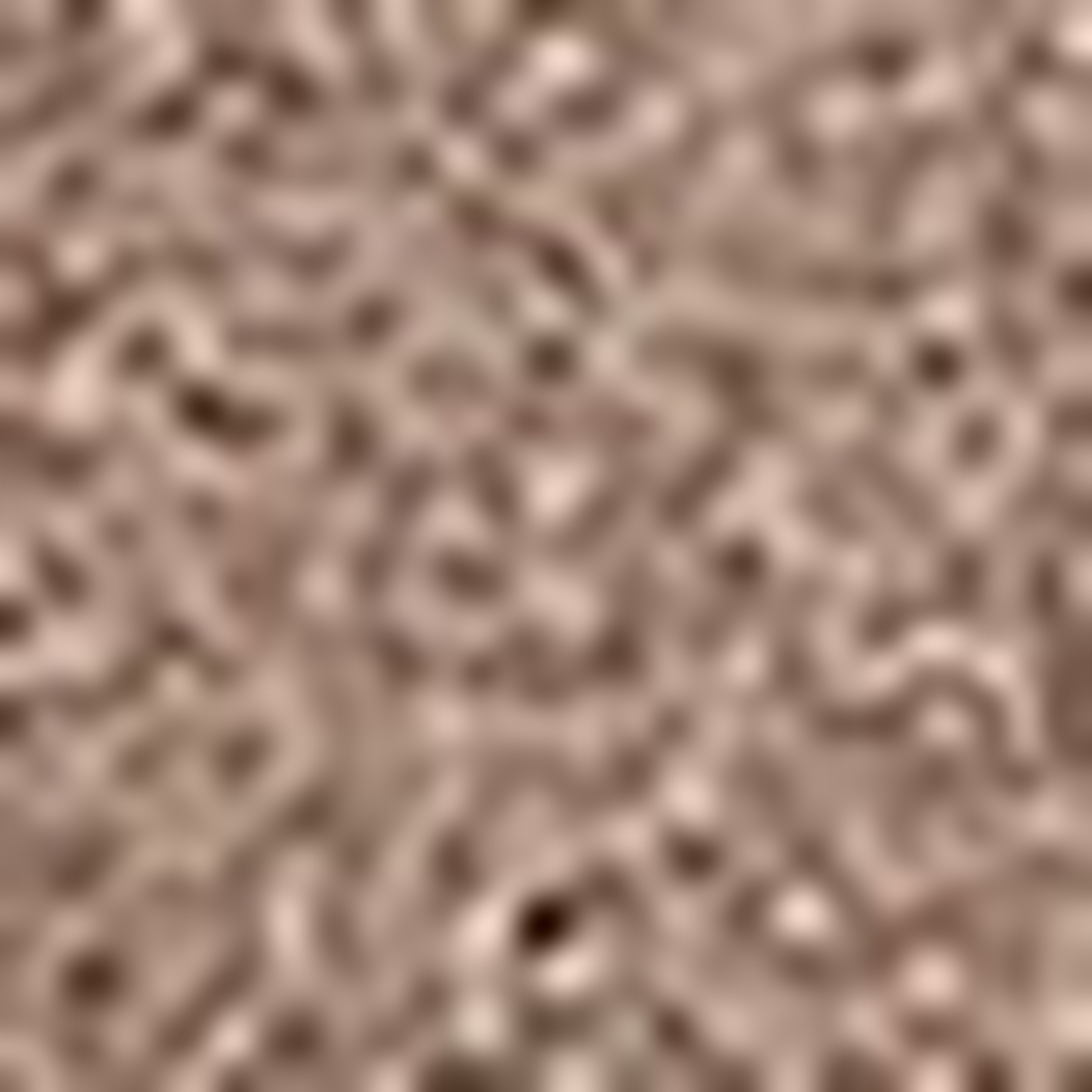 Erkek Kahverengi Bot - Image 6
