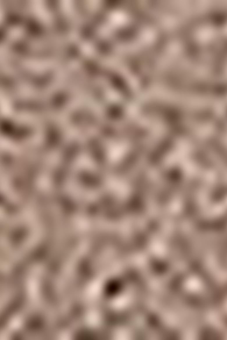 Erkek Kahverengi Bot - 50212080016