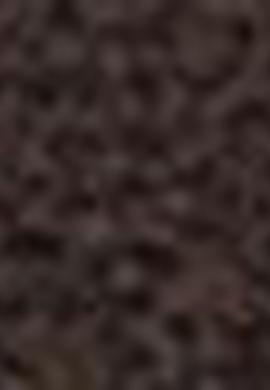 Erkek Çocuk Kahverengi Ayakkabı - 50211934004