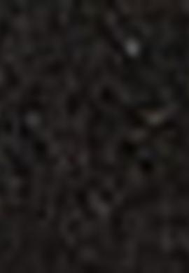 Erkek Siyah Kemer - 50212172020