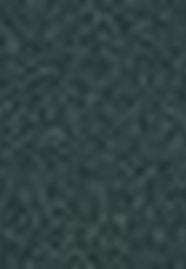 Kadın Yeşil Sweatshirt - 50216087047