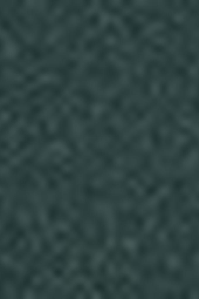 Kadın Yeşil Sweatshirt